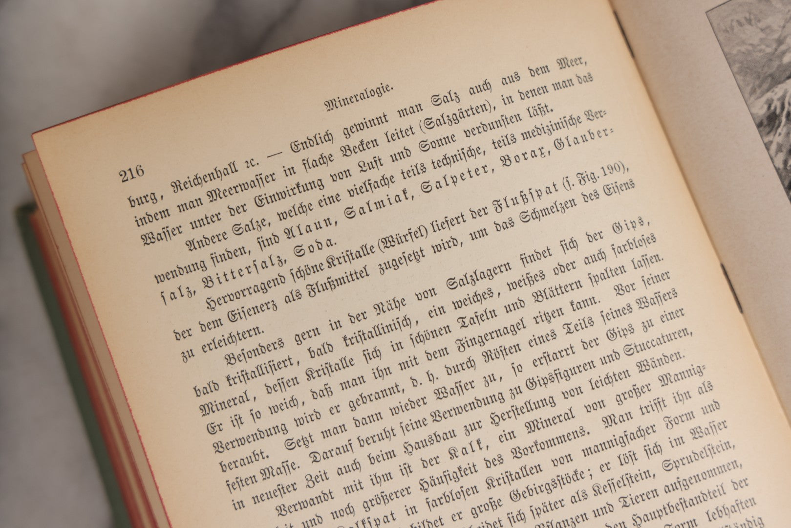 Lot 023 - “Berges Naturgeschichte” Antique Natural History Book By Friedr. Berge With Engraved And Color Plate Animal Illustrations, Undated (Foreword 1897)