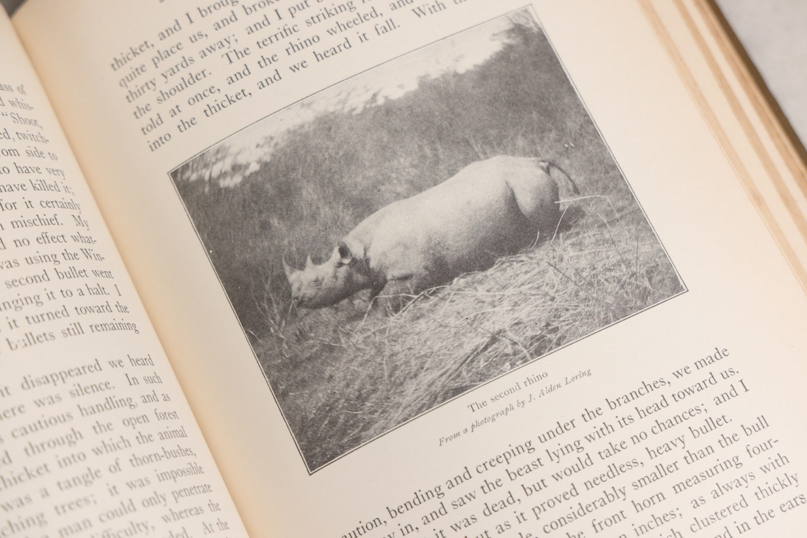 Lot 024 - "African Game Trails" Antique Safari And Natural History Book By Theodore Roosevelt, Illustrated With Photographs By Kermit Roosevelt And Drawings By Philip R. Goodwin, Published By Charles Scribner's Sons, New York, 1910