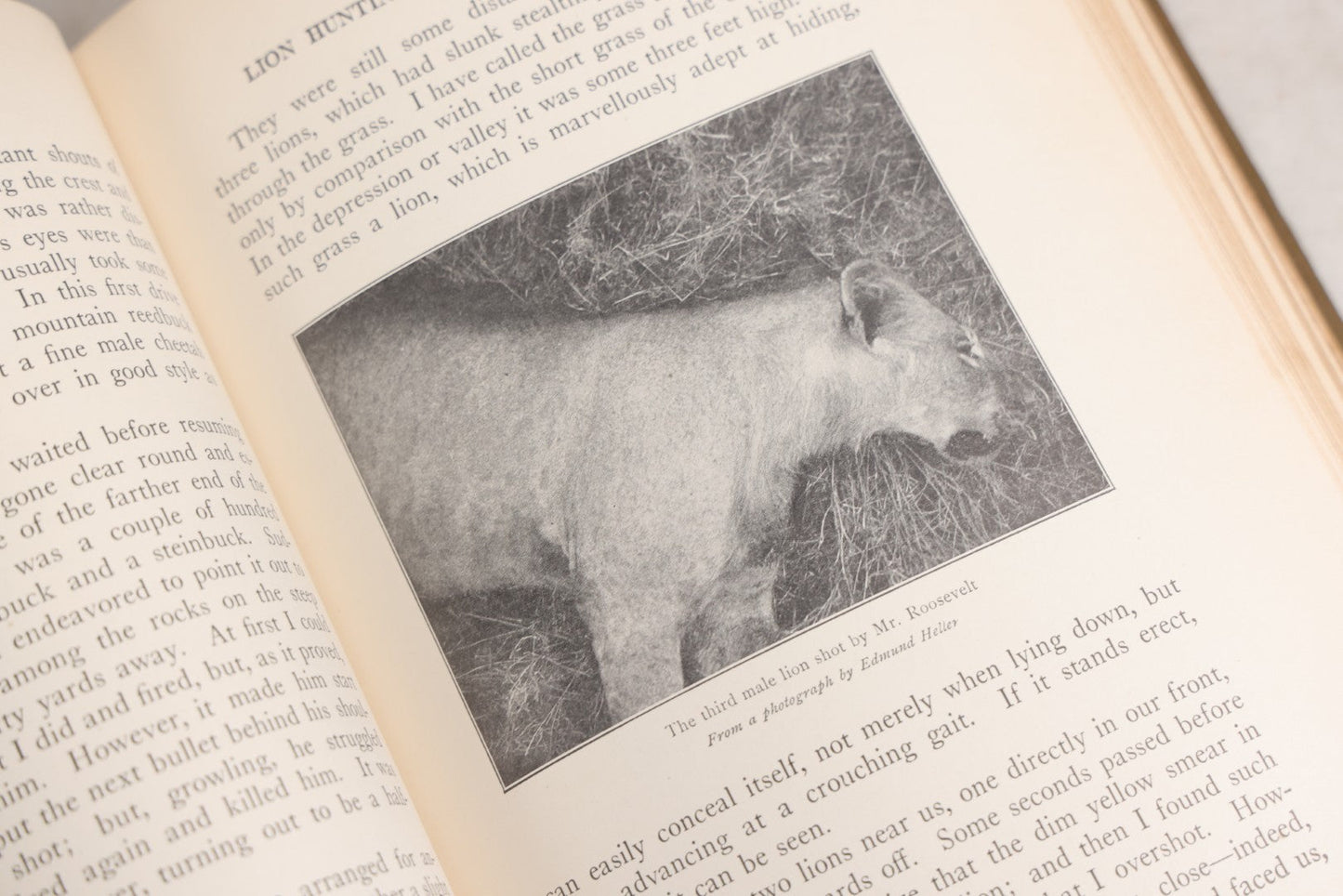 Lot 024 - "African Game Trails" Antique Safari And Natural History Book By Theodore Roosevelt, Illustrated With Photographs By Kermit Roosevelt And Drawings By Philip R. Goodwin, Published By Charles Scribner's Sons, New York, 1910