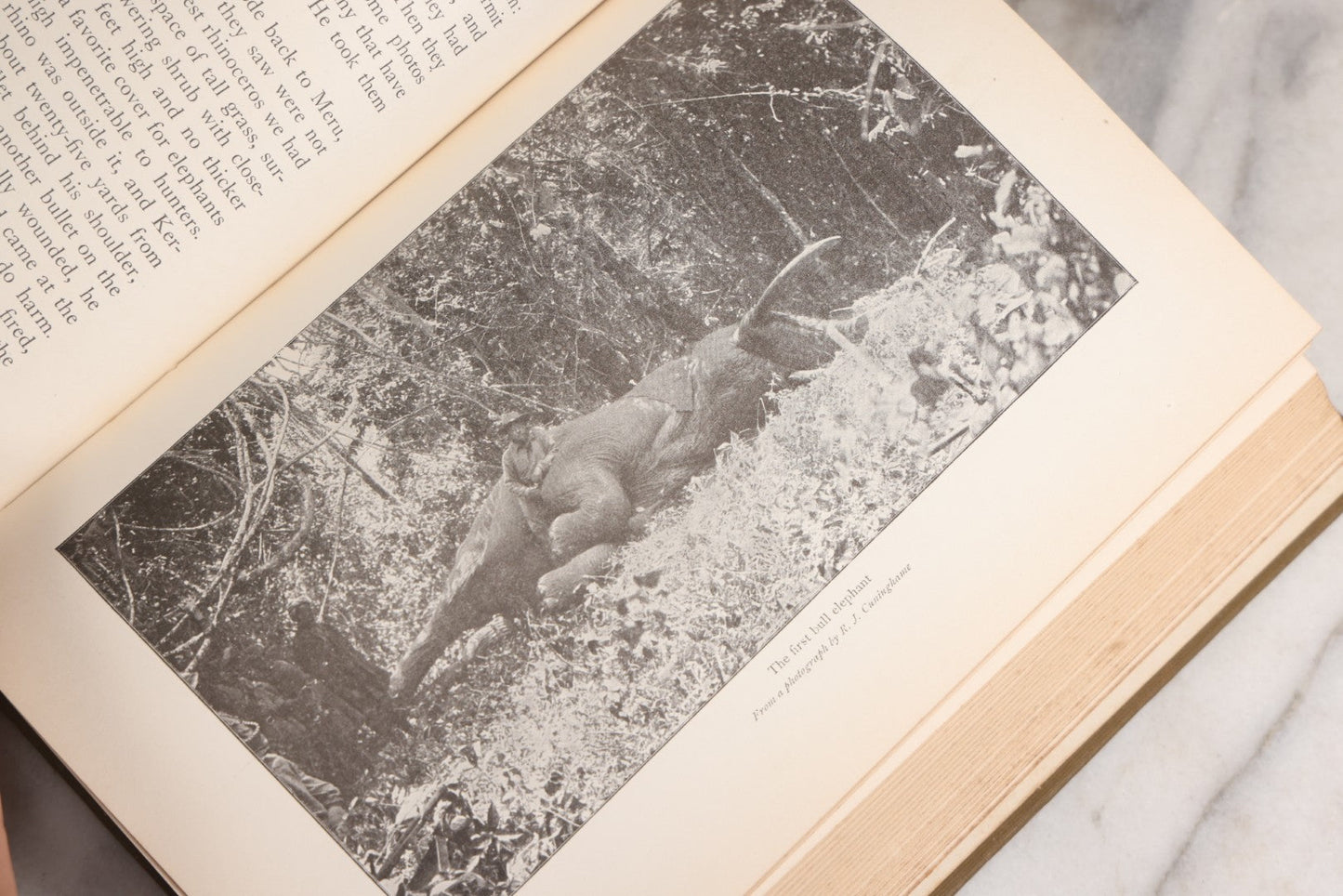 Lot 024 - "African Game Trails" Antique Safari And Natural History Book By Theodore Roosevelt, Illustrated With Photographs By Kermit Roosevelt And Drawings By Philip R. Goodwin, Published By Charles Scribner's Sons, New York, 1910