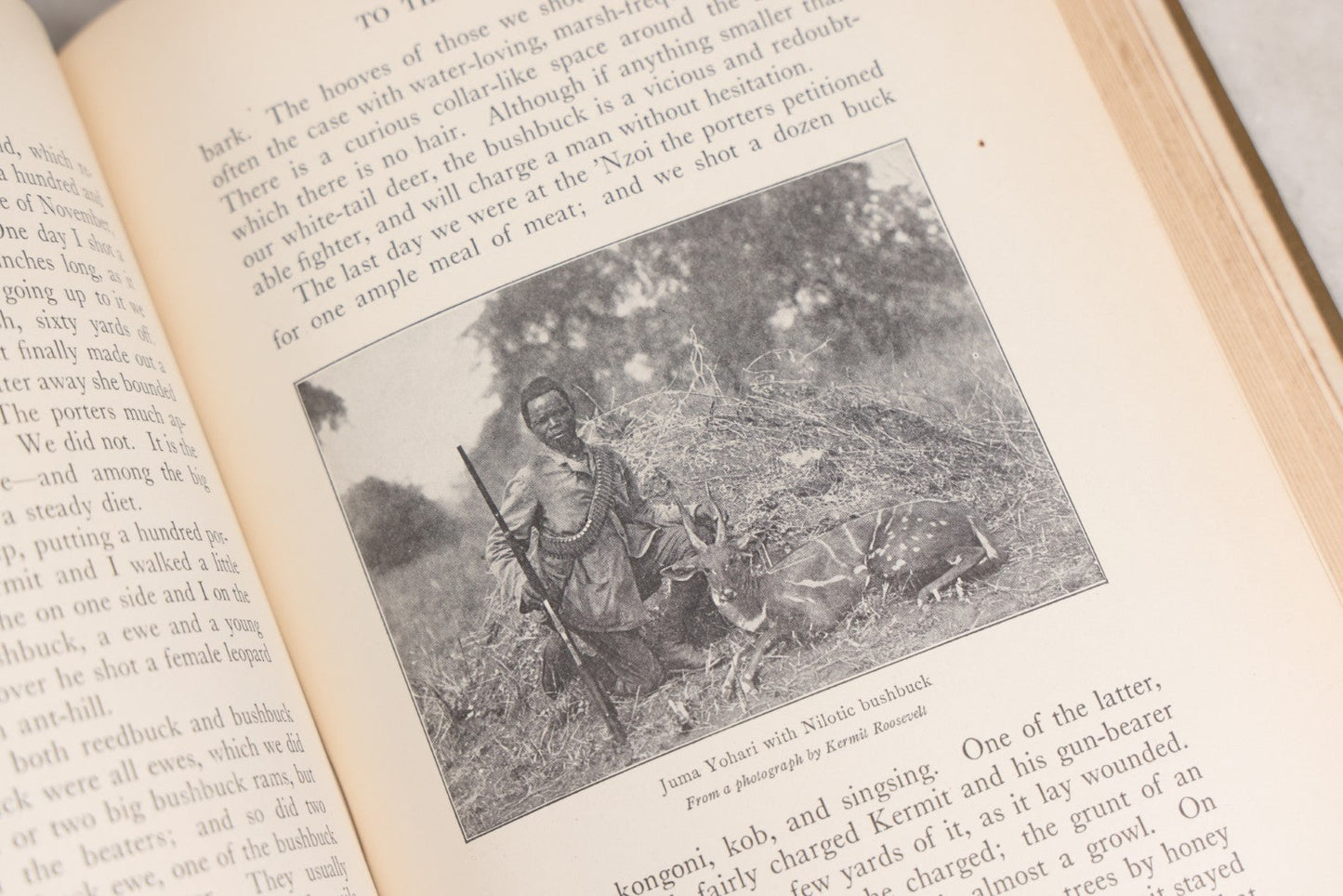 Lot 024 - "African Game Trails" Antique Safari And Natural History Book By Theodore Roosevelt, Illustrated With Photographs By Kermit Roosevelt And Drawings By Philip R. Goodwin, Published By Charles Scribner's Sons, New York, 1910