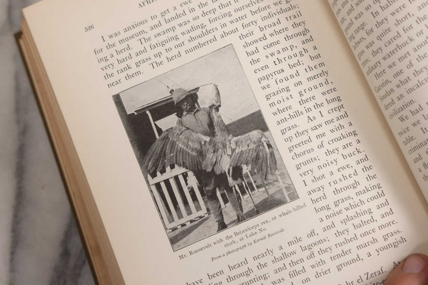 Lot 024 - "African Game Trails" Antique Safari And Natural History Book By Theodore Roosevelt, Illustrated With Photographs By Kermit Roosevelt And Drawings By Philip R. Goodwin, Published By Charles Scribner's Sons, New York, 1910