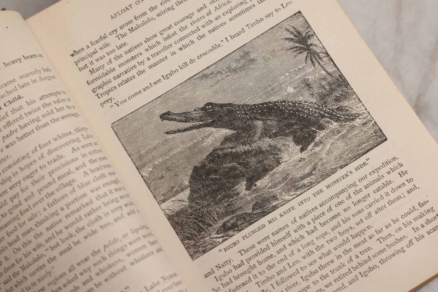 Lot 026 - "Wonders Of The Tropics" Antique African Exploration Book By Henry Davenport Northrop, D.D., Published By The Franklin Publishing Co., Richmond, Virginia, 1889