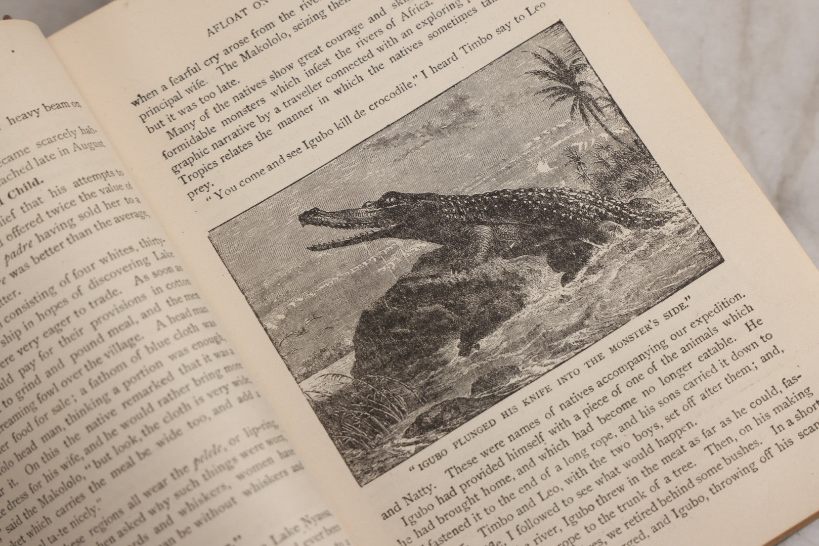 Lot 026 - "Wonders Of The Tropics" Antique African Exploration Book By Henry Davenport Northrop, D.D., Published By The Franklin Publishing Co., Richmond, Virginia, 1889
