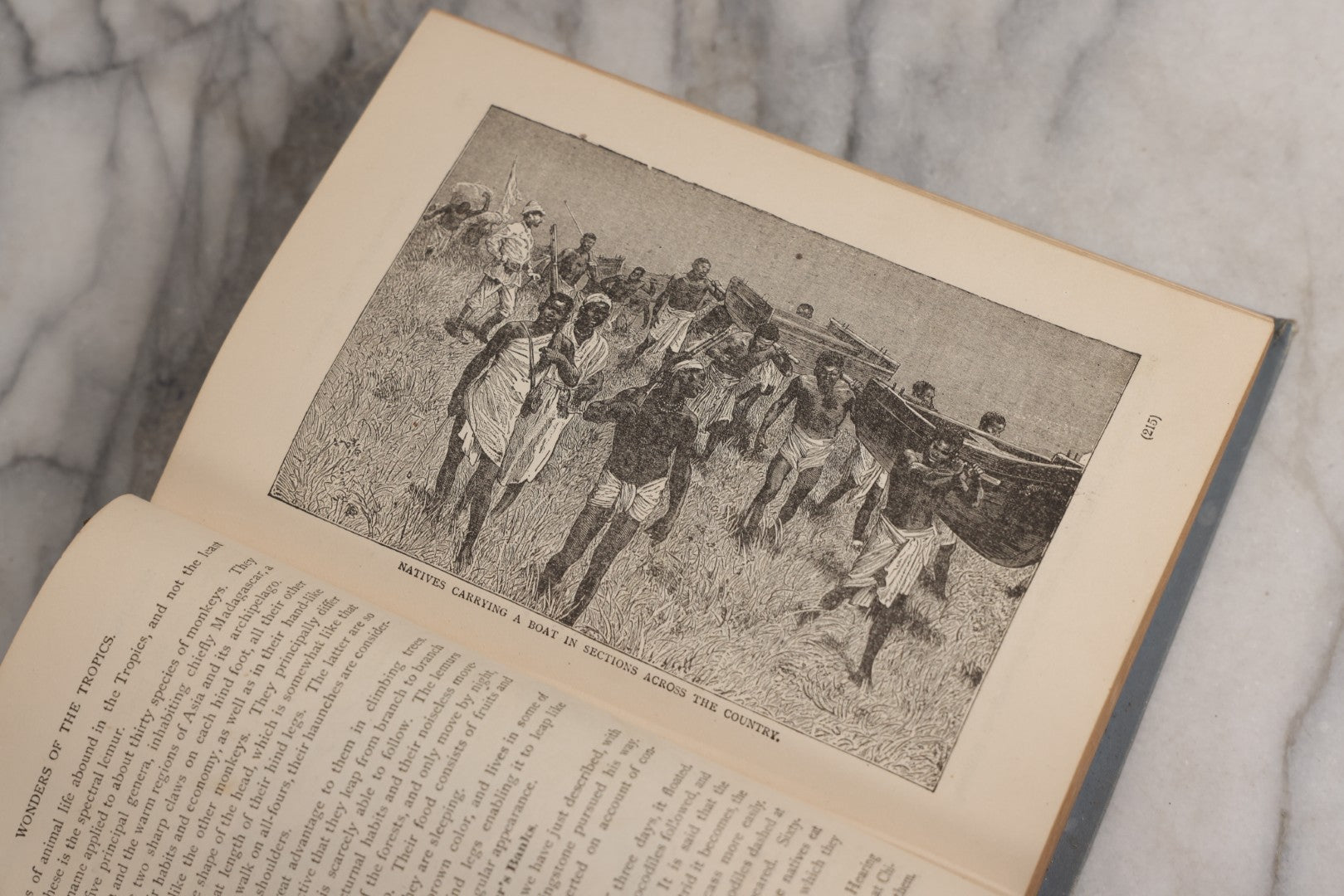 Lot 026 - "Wonders Of The Tropics" Antique African Exploration Book By Henry Davenport Northrop, D.D., Published By The Franklin Publishing Co., Richmond, Virginia, 1889