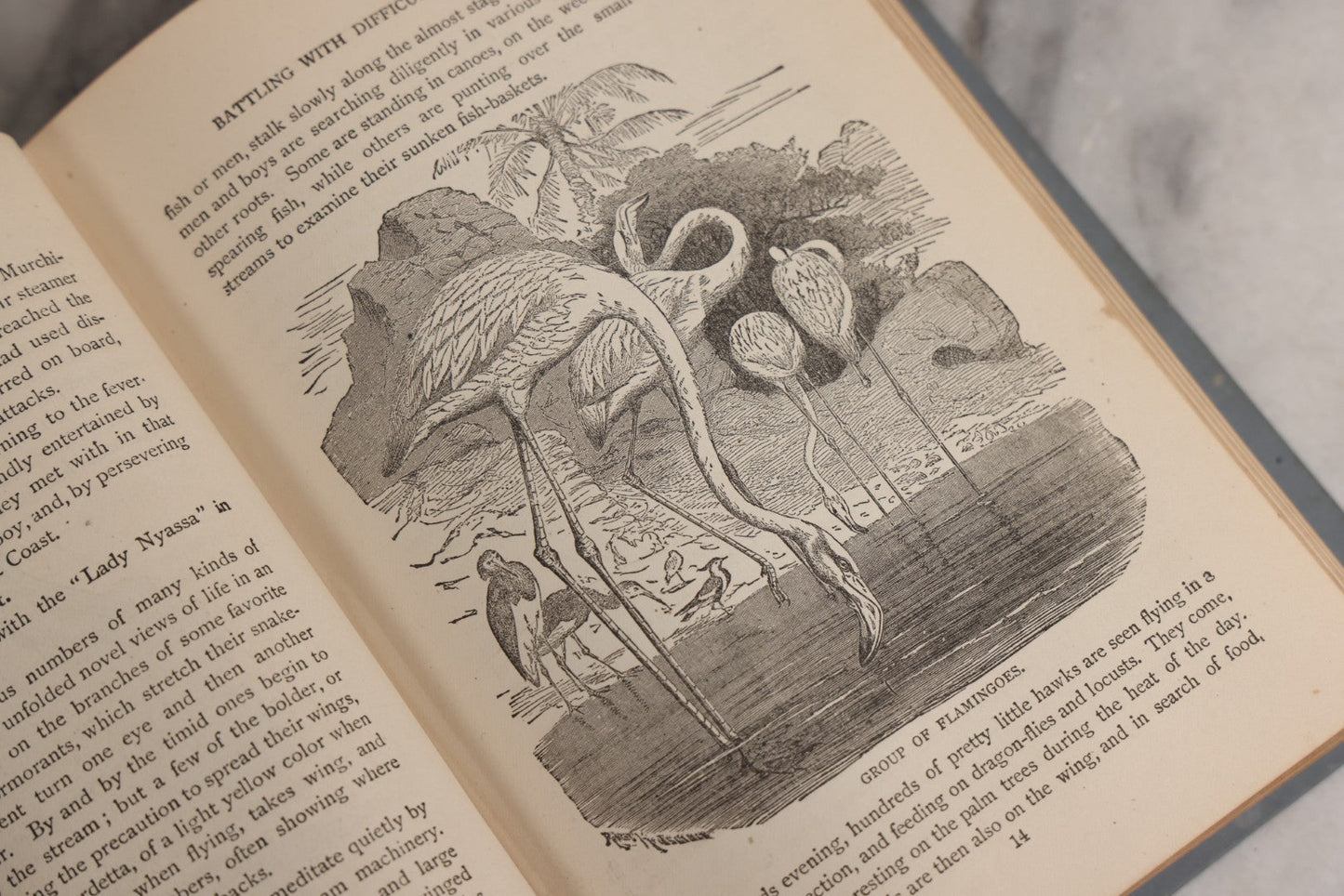 Lot 026 - "Wonders Of The Tropics" Antique African Exploration Book By Henry Davenport Northrop, D.D., Published By The Franklin Publishing Co., Richmond, Virginia, 1889
