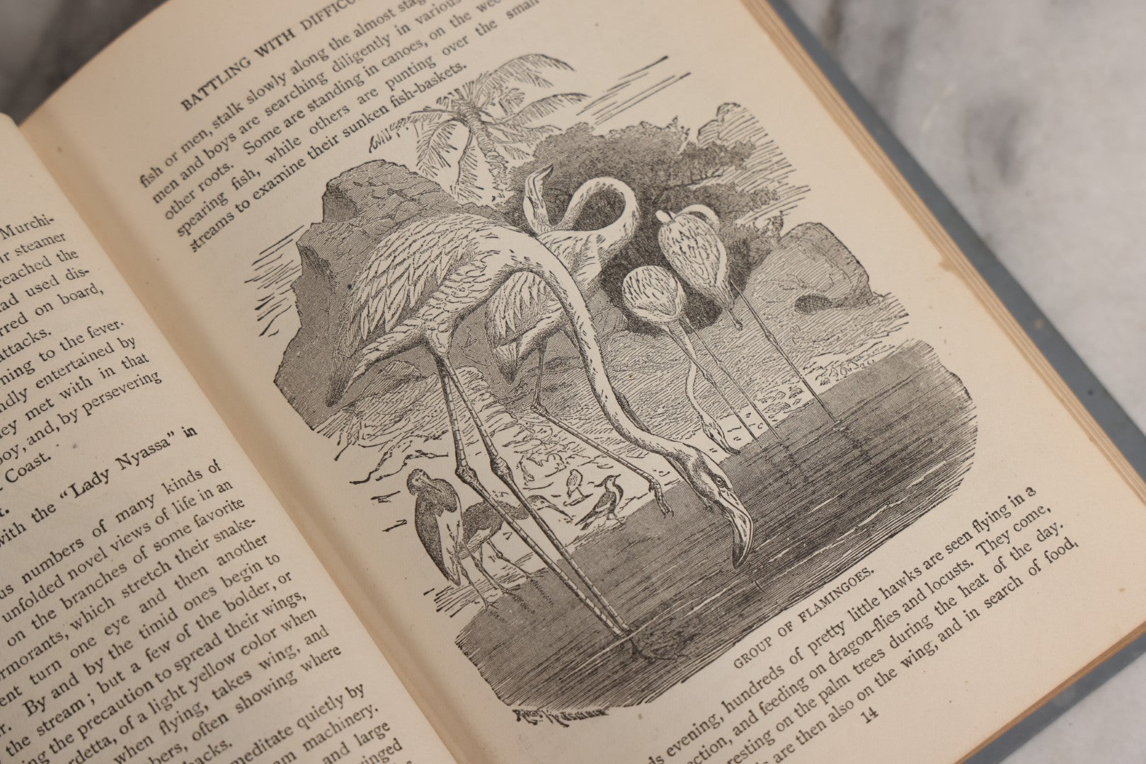 Lot 026 - "Wonders Of The Tropics" Antique African Exploration Book By Henry Davenport Northrop, D.D., Published By The Franklin Publishing Co., Richmond, Virginia, 1889