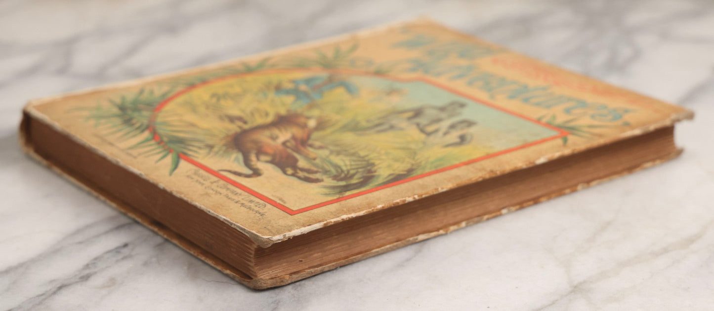 Lot 027 - "Wild Adventures In Wild Places" Antique Sporting And Adventure Book By Gordon Stables, M.D., R.N., Published By Cassell And Company, Limited, London, Paris, New York And Melbourne, Circa 1888