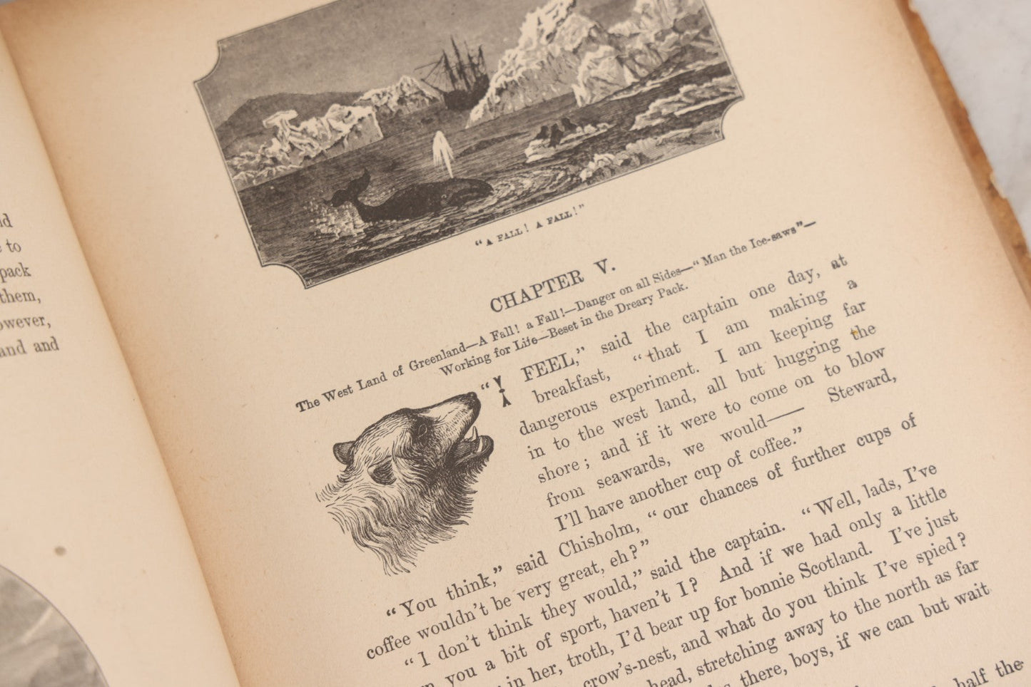 Lot 027 - "Wild Adventures In Wild Places" Antique Sporting And Adventure Book By Gordon Stables, M.D., R.N., Published By Cassell And Company, Limited, London, Paris, New York And Melbourne, Circa 1888