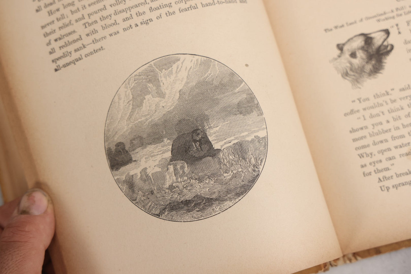 Lot 027 - "Wild Adventures In Wild Places" Antique Sporting And Adventure Book By Gordon Stables, M.D., R.N., Published By Cassell And Company, Limited, London, Paris, New York And Melbourne, Circa 1888