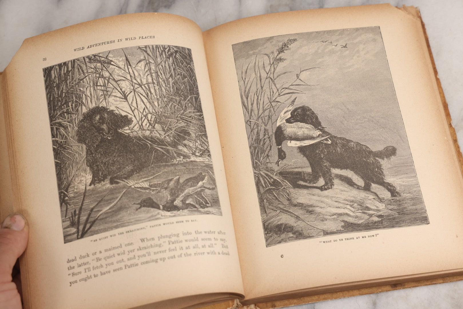 Lot 027 - "Wild Adventures In Wild Places" Antique Sporting And Adventure Book By Gordon Stables, M.D., R.N., Published By Cassell And Company, Limited, London, Paris, New York And Melbourne, Circa 1888