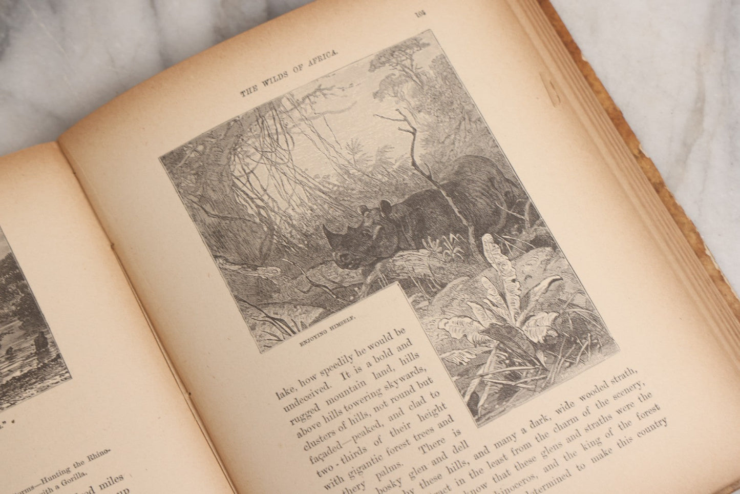 Lot 027 - "Wild Adventures In Wild Places" Antique Sporting And Adventure Book By Gordon Stables, M.D., R.N., Published By Cassell And Company, Limited, London, Paris, New York And Melbourne, Circa 1888