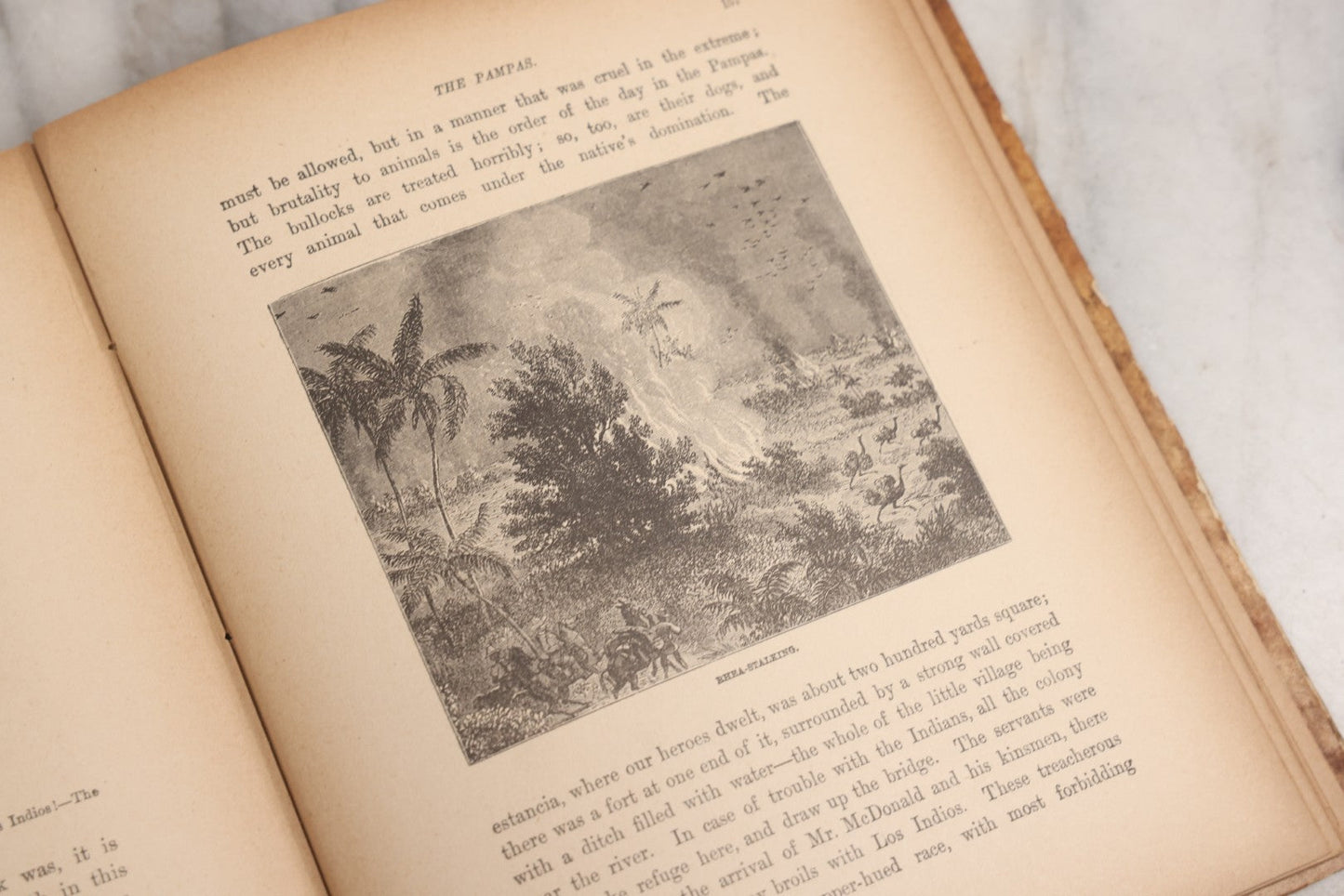 Lot 027 - "Wild Adventures In Wild Places" Antique Sporting And Adventure Book By Gordon Stables, M.D., R.N., Published By Cassell And Company, Limited, London, Paris, New York And Melbourne, Circa 1888