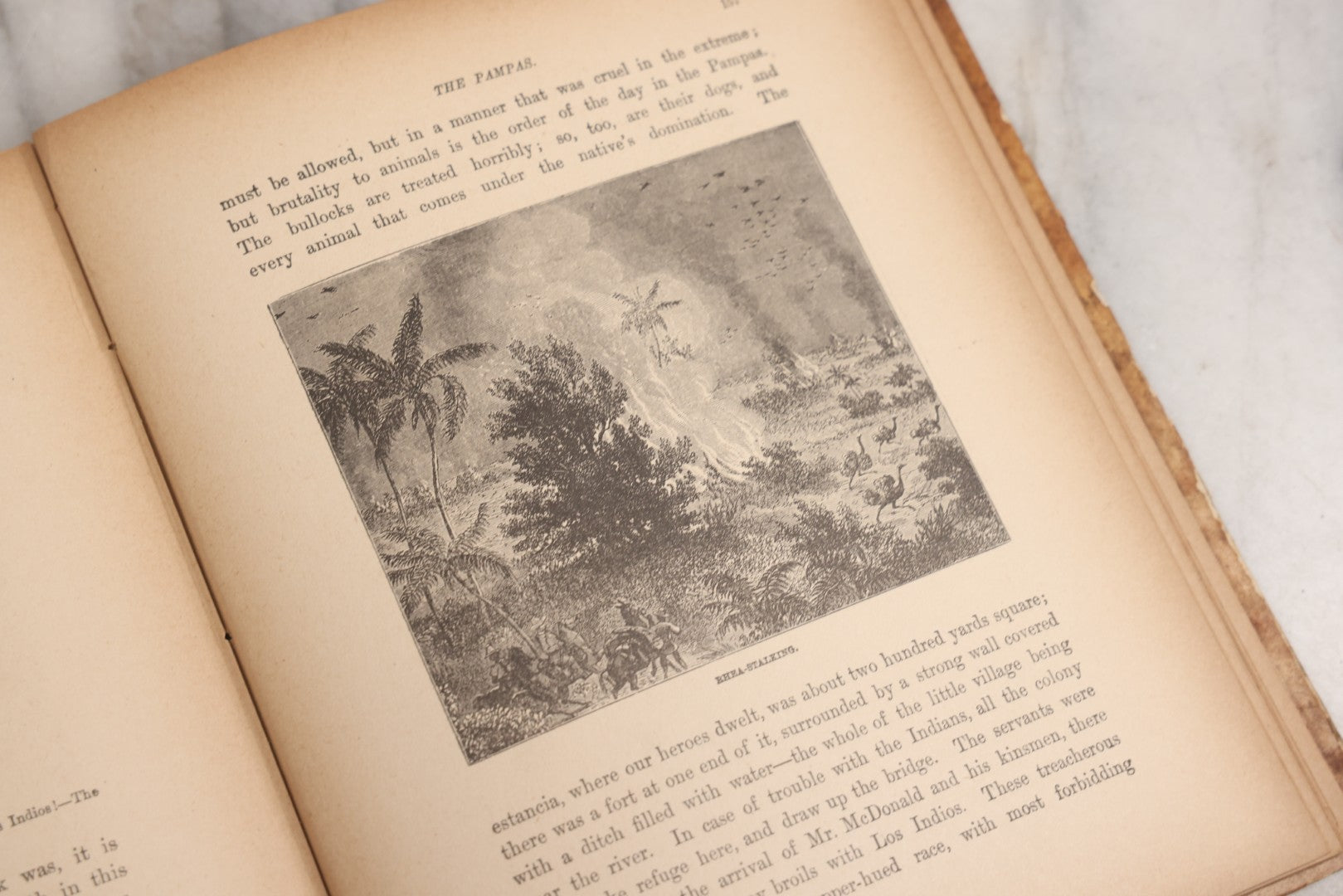 Lot 027 - "Wild Adventures In Wild Places" Antique Sporting And Adventure Book By Gordon Stables, M.D., R.N., Published By Cassell And Company, Limited, London, Paris, New York And Melbourne, Circa 1888