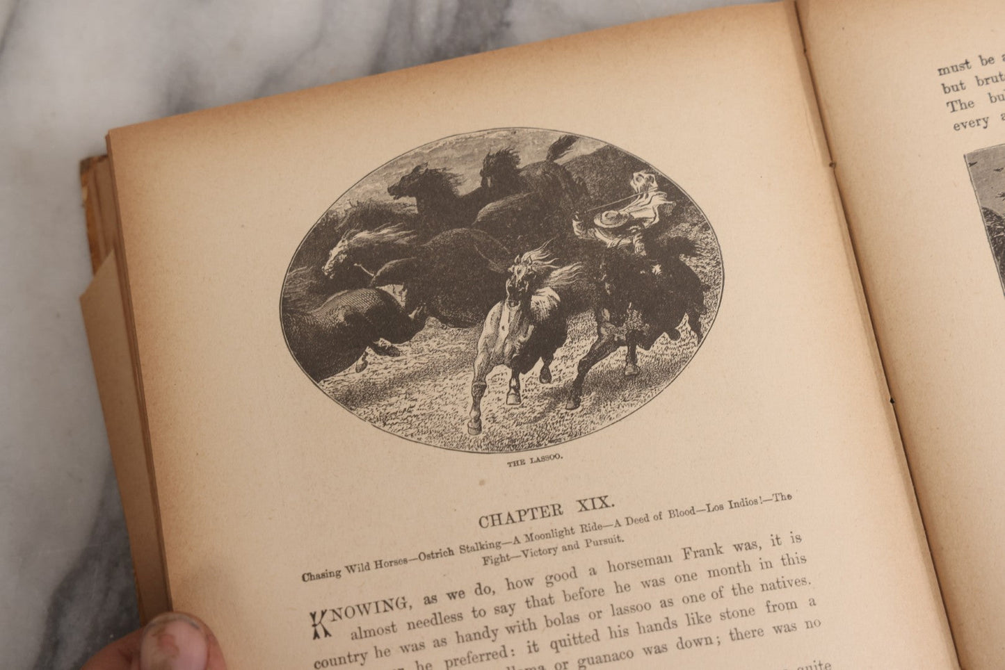 Lot 027 - "Wild Adventures In Wild Places" Antique Sporting And Adventure Book By Gordon Stables, M.D., R.N., Published By Cassell And Company, Limited, London, Paris, New York And Melbourne, Circa 1888