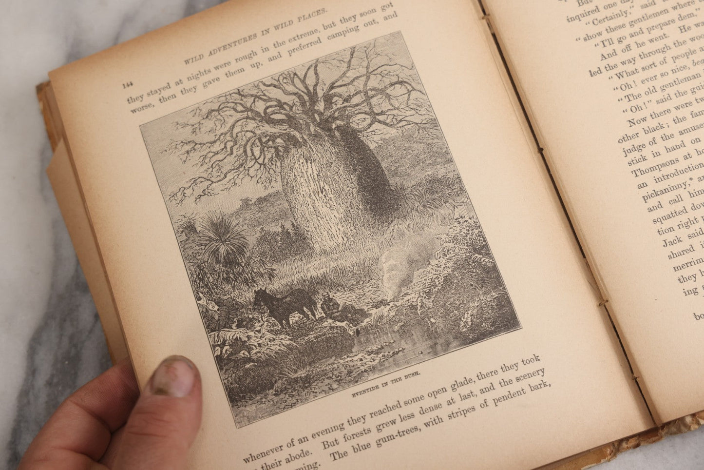 Lot 027 - "Wild Adventures In Wild Places" Antique Sporting And Adventure Book By Gordon Stables, M.D., R.N., Published By Cassell And Company, Limited, London, Paris, New York And Melbourne, Circa 1888
