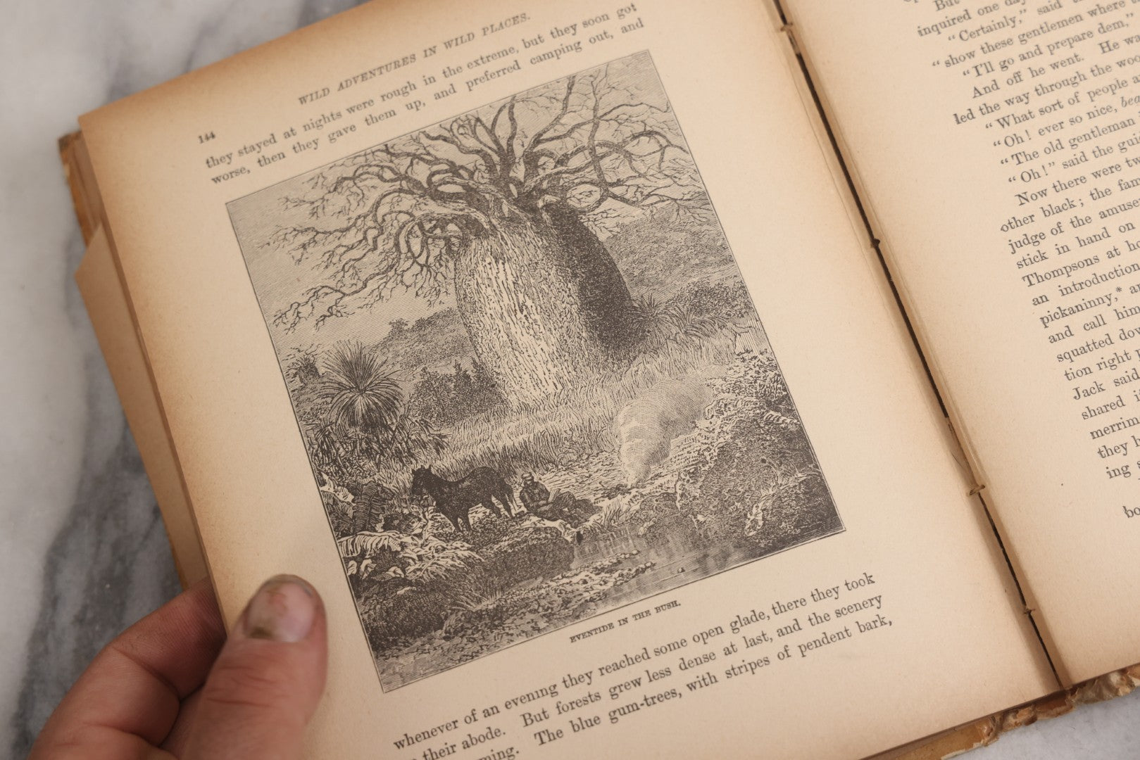 Lot 027 - "Wild Adventures In Wild Places" Antique Sporting And Adventure Book By Gordon Stables, M.D., R.N., Published By Cassell And Company, Limited, London, Paris, New York And Melbourne, Circa 1888
