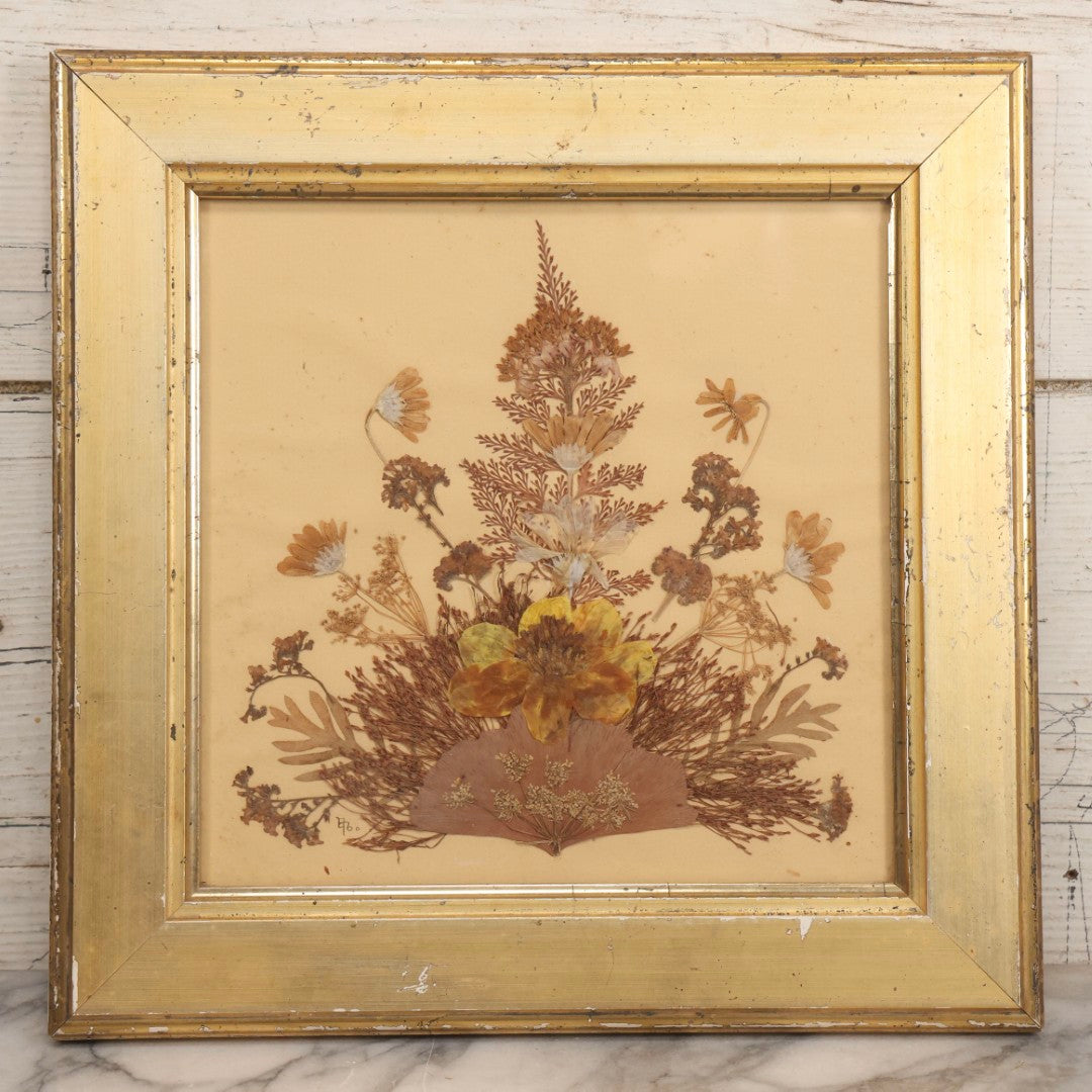 Lot 037 - Antique Dried Seaweed And Flower Assemblage Art In Gold Painted Wood Frame, Dated 1860 With Monogram Signature, 13-1/2" x 13-3/8"