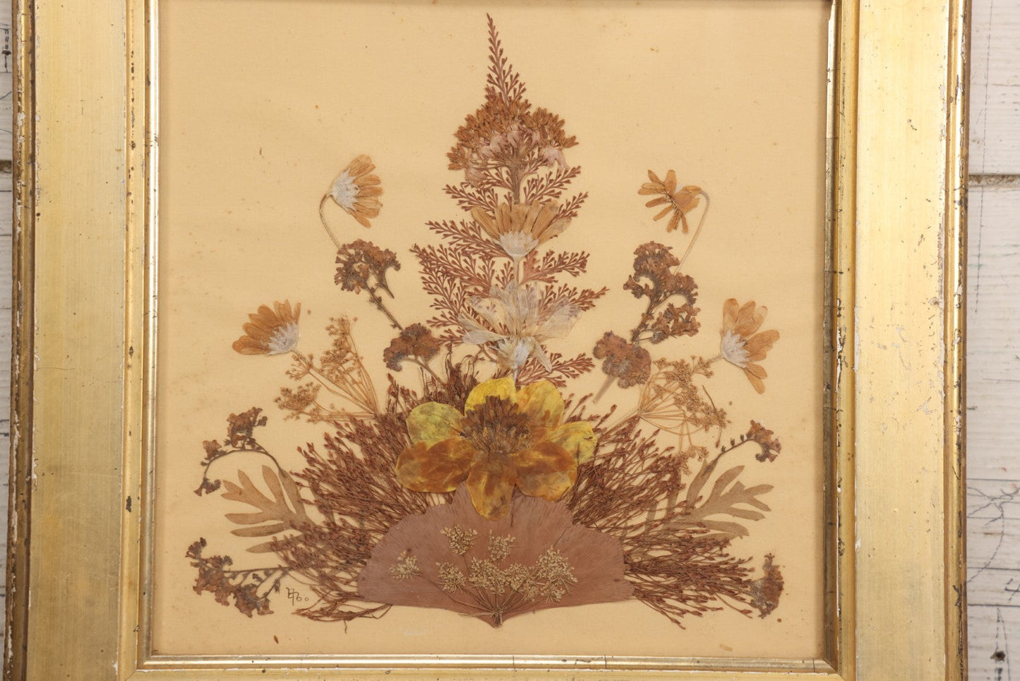 Lot 037 - Antique Dried Seaweed And Flower Assemblage Art In Gold Painted Wood Frame, Dated 1860 With Monogram Signature, 13-1/2" x 13-3/8"