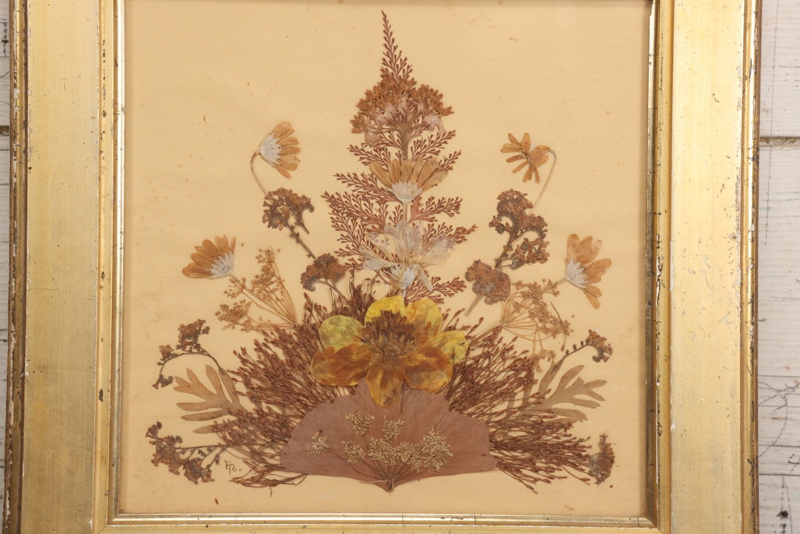 Lot 037 - Antique Dried Seaweed And Flower Assemblage Art In Gold Painted Wood Frame, Dated 1860 With Monogram Signature, 13-1/2" x 13-3/8"