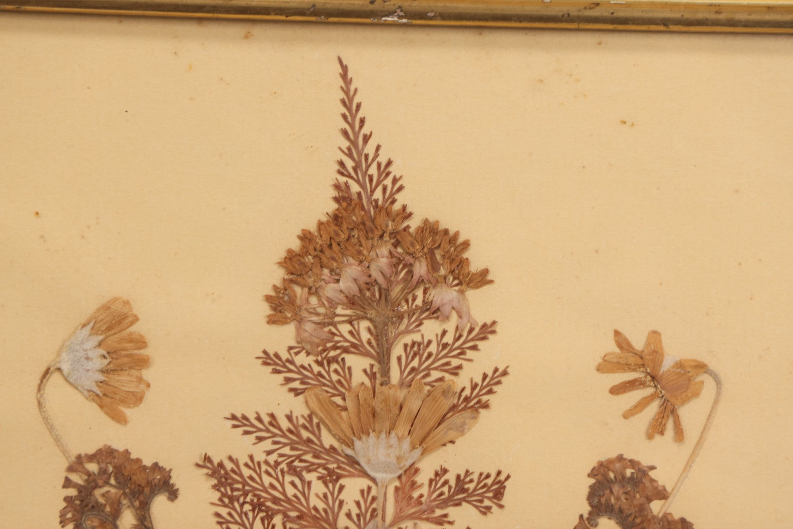 Lot 037 - Antique Dried Seaweed And Flower Assemblage Art In Gold Painted Wood Frame, Dated 1860 With Monogram Signature, 13-1/2" x 13-3/8"