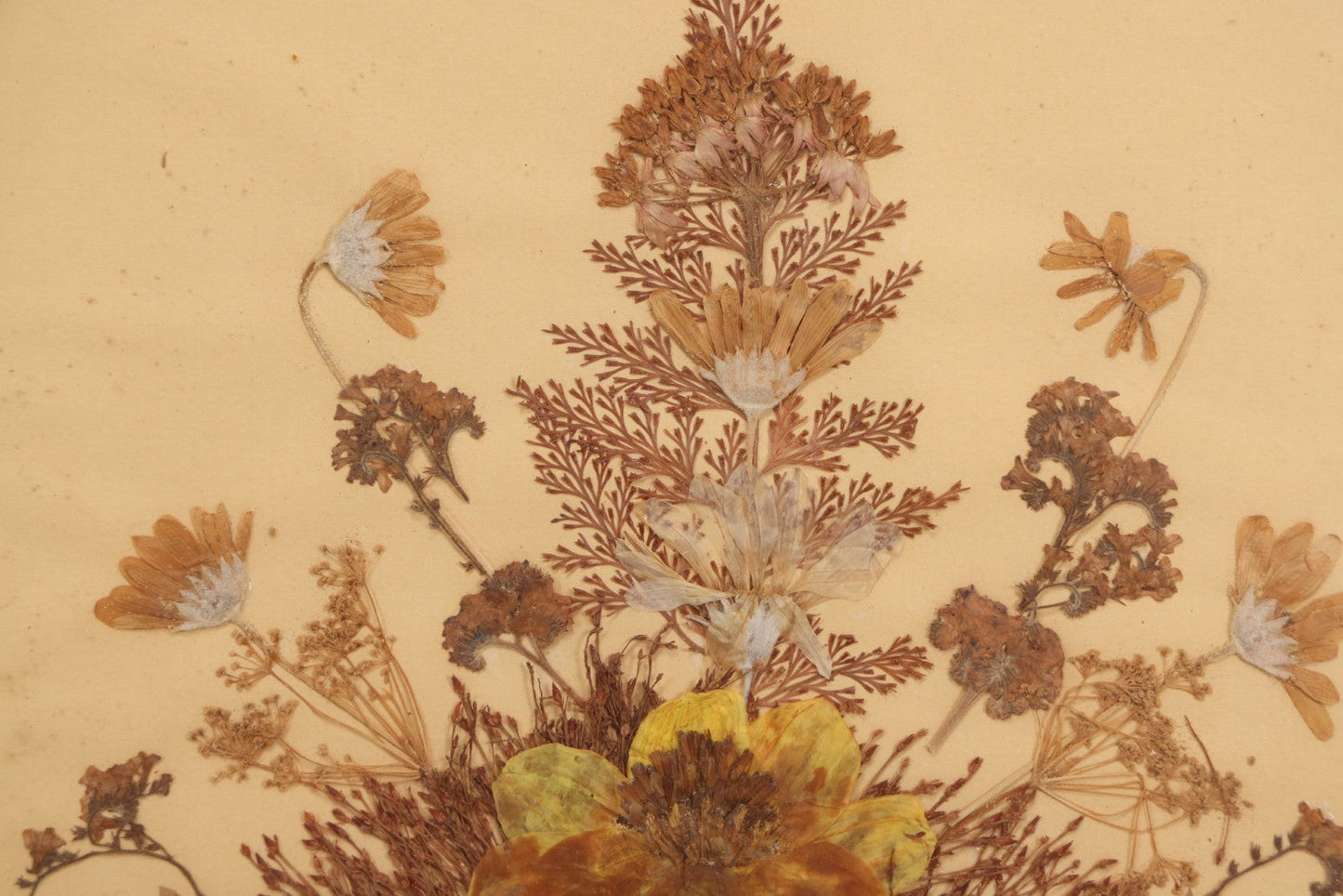 Lot 037 - Antique Dried Seaweed And Flower Assemblage Art In Gold Painted Wood Frame, Dated 1860 With Monogram Signature, 13-1/2" x 13-3/8"