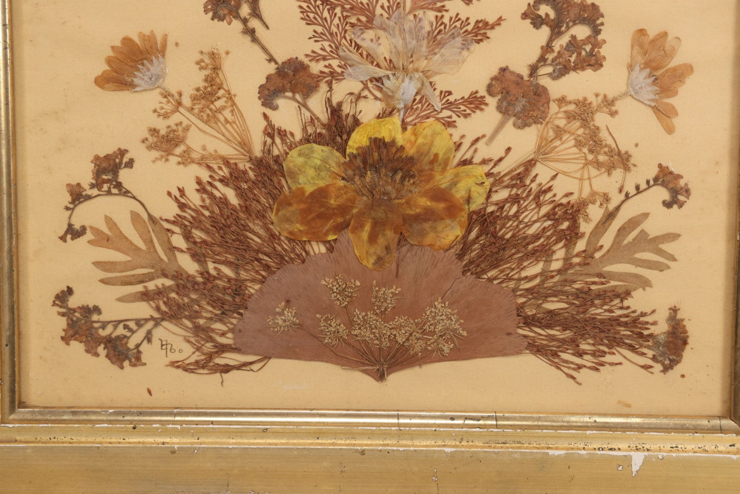 Lot 037 - Antique Dried Seaweed And Flower Assemblage Art In Gold Painted Wood Frame, Dated 1860 With Monogram Signature, 13-1/2" x 13-3/8"