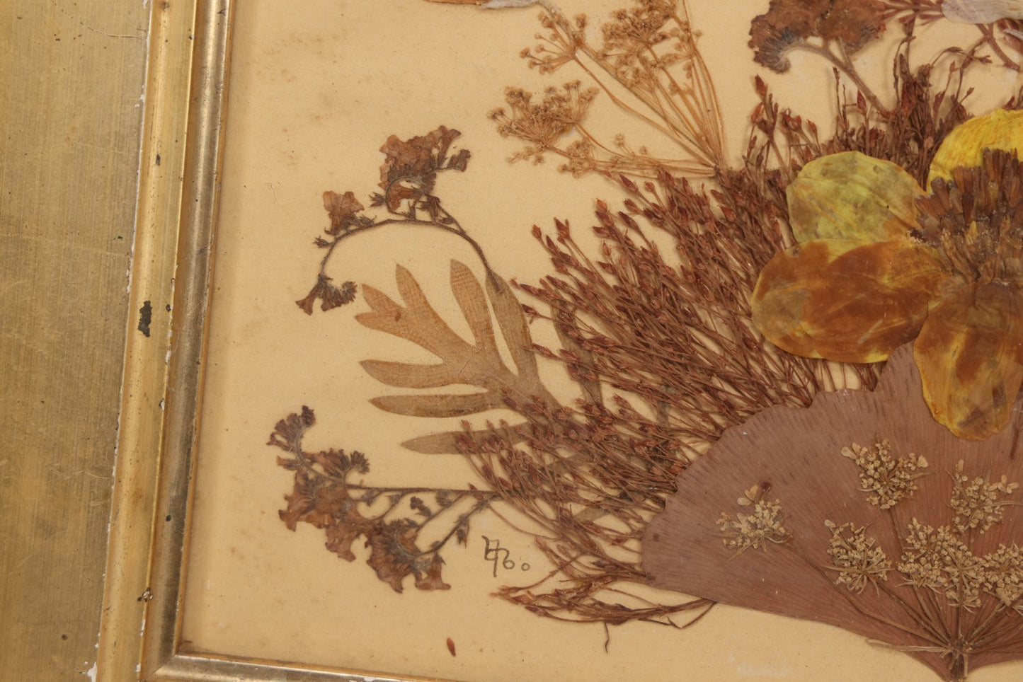 Lot 037 - Antique Dried Seaweed And Flower Assemblage Art In Gold Painted Wood Frame, Dated 1860 With Monogram Signature, 13-1/2" x 13-3/8"