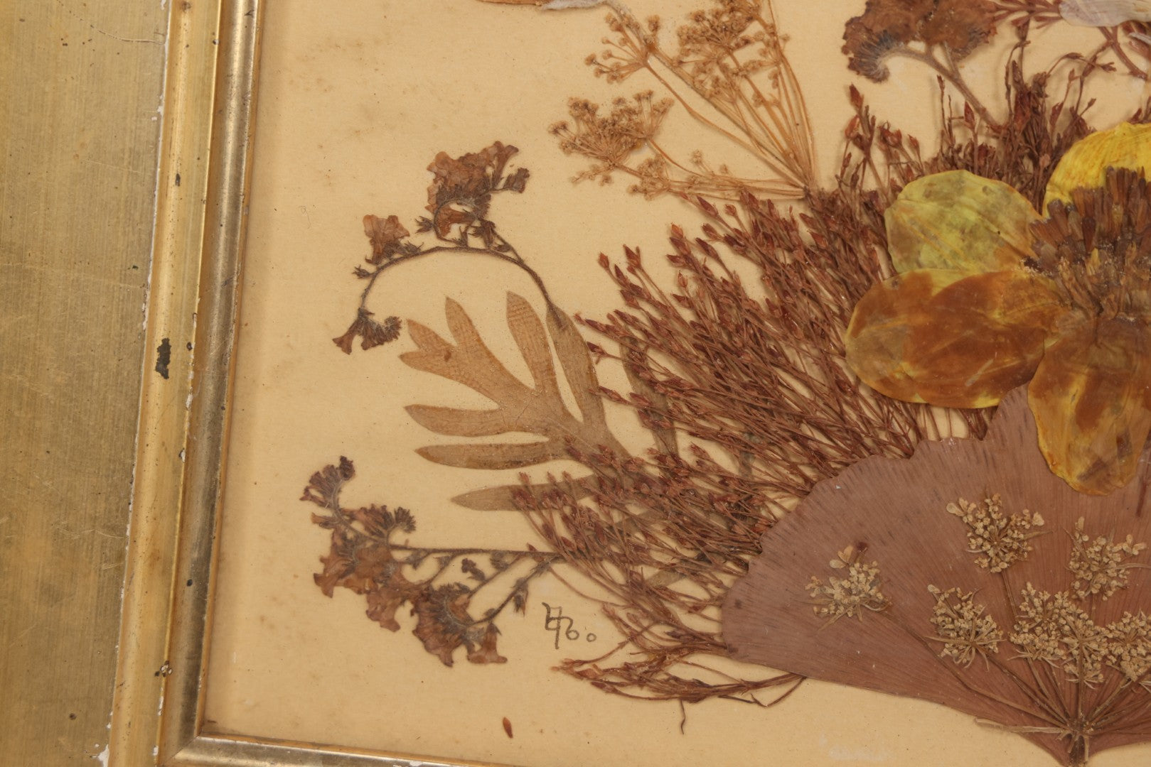 Lot 037 - Antique Dried Seaweed And Flower Assemblage Art In Gold Painted Wood Frame, Dated 1860 With Monogram Signature, 13-1/2" x 13-3/8"