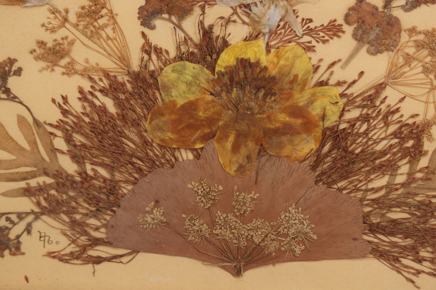Lot 037 - Antique Dried Seaweed And Flower Assemblage Art In Gold Painted Wood Frame, Dated 1860 With Monogram Signature, 13-1/2" x 13-3/8"