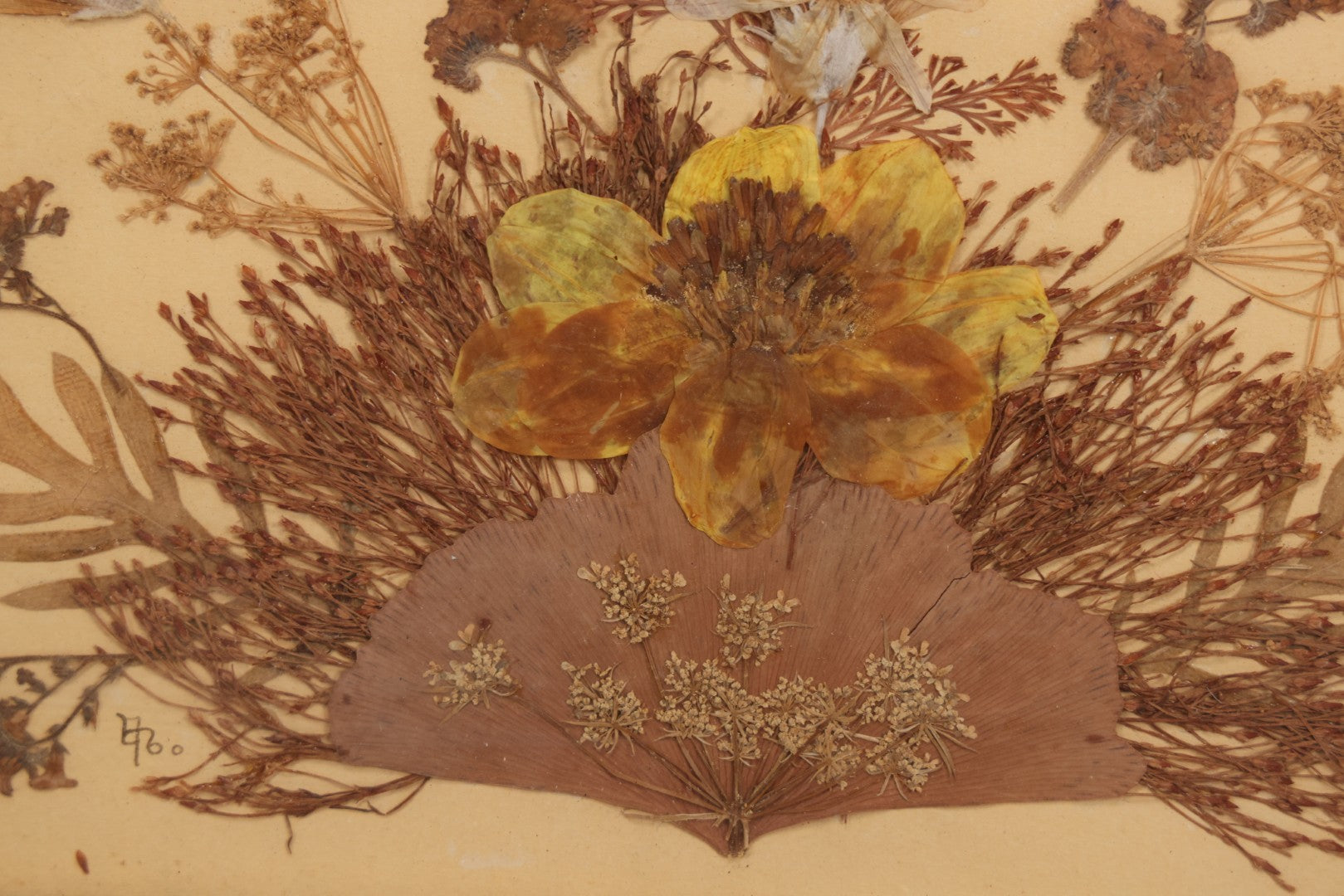 Lot 037 - Antique Dried Seaweed And Flower Assemblage Art In Gold Painted Wood Frame, Dated 1860 With Monogram Signature, 13-1/2" x 13-3/8"