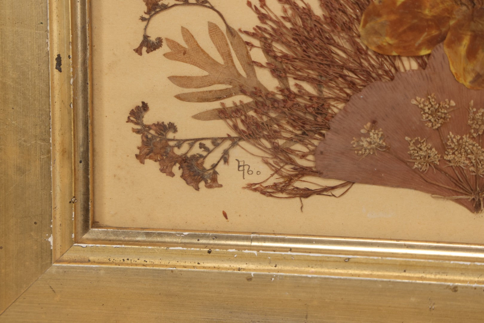 Lot 037 - Antique Dried Seaweed And Flower Assemblage Art In Gold Painted Wood Frame, Dated 1860 With Monogram Signature, 13-1/2" x 13-3/8"