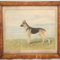 Lot 092 - Vintage Watercolor Painting Of German Shepherd Dog “Ch. Cilla's Pinnacle Of Picardy,” Signed B. Howitt-Lodge, 1927, In Antique Frame, 14-1/4" x 12-3/4"