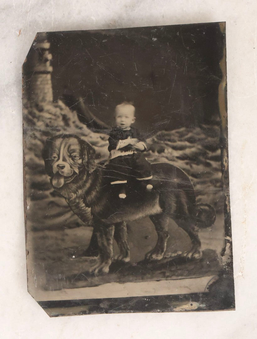 Lot 136 - Grouping Of Four Antique Tintype Photographs Including Two Humorous Baby Portraits Riding Dog Painted On Backdrop, Woman In Extravagant Dress, And Two Men Wearing Bowler Hats And Fraternal Ribbons