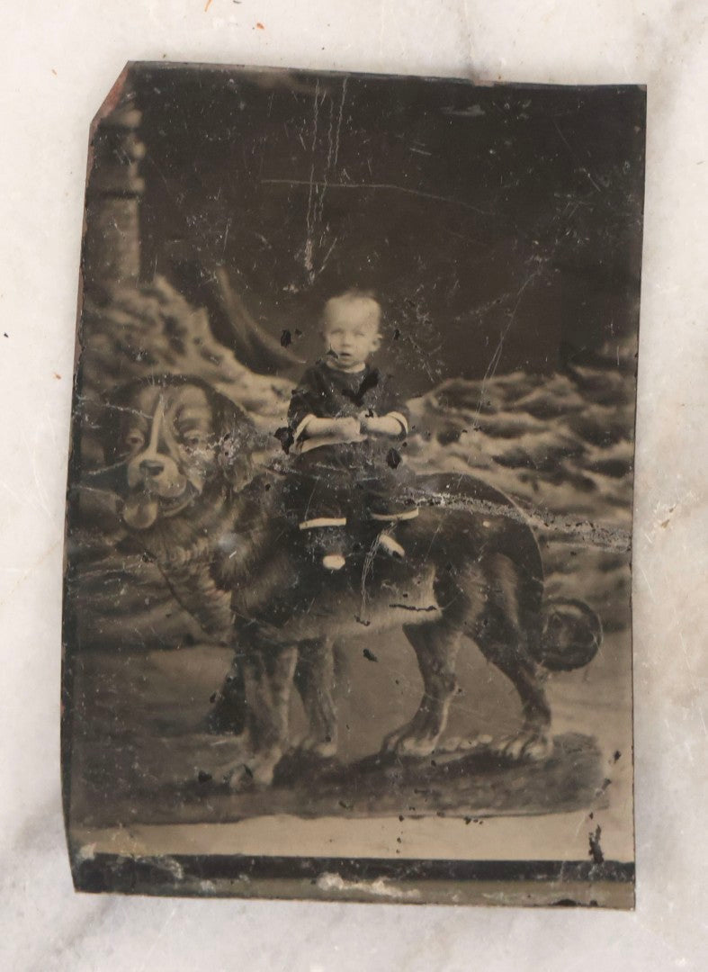 Lot 136 - Grouping Of Four Antique Tintype Photographs Including Two Humorous Baby Portraits Riding Dog Painted On Backdrop, Woman In Extravagant Dress, And Two Men Wearing Bowler Hats And Fraternal Ribbons