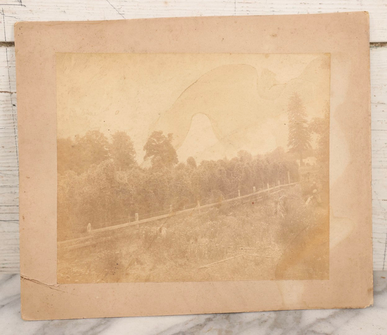 Lot 149 - Trio Of Antique Agricultural Boarded Photographs In Leather Folder Of William F. Mott, Showing Threshing Crew, Grain-Threshing Apparatus, And Hop Yard