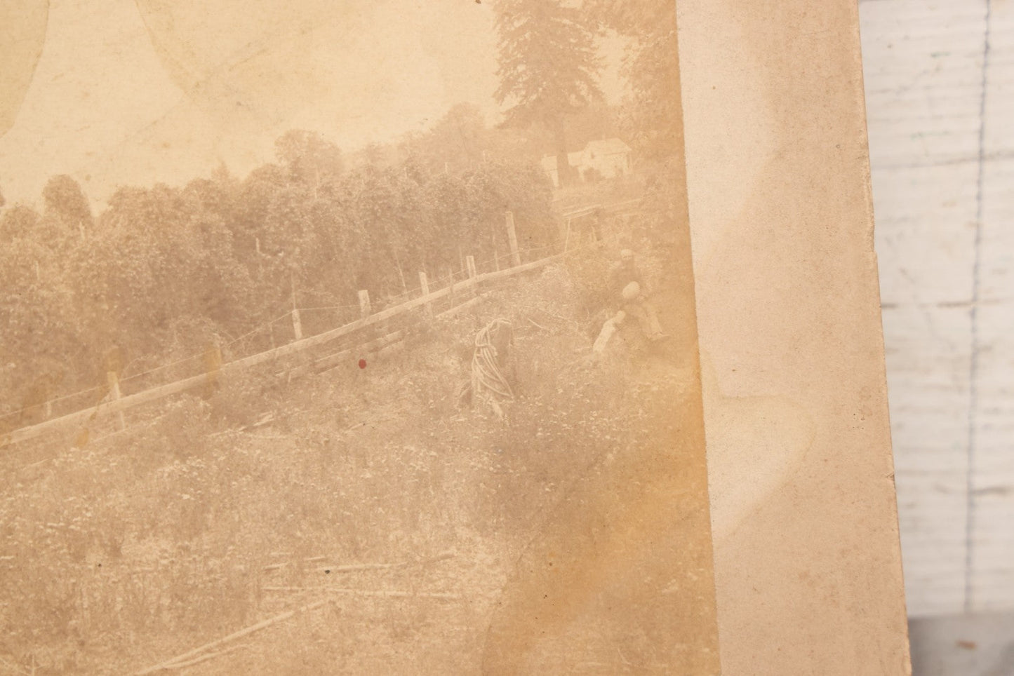 Lot 149 - Trio Of Antique Agricultural Boarded Photographs In Leather Folder Of William F. Mott, Showing Threshing Crew, Grain-Threshing Apparatus, And Hop Yard