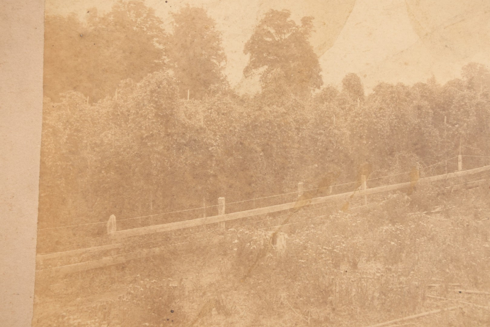 Lot 149 - Trio Of Antique Agricultural Boarded Photographs In Leather Folder Of William F. Mott, Showing Threshing Crew, Grain-Threshing Apparatus, And Hop Yard