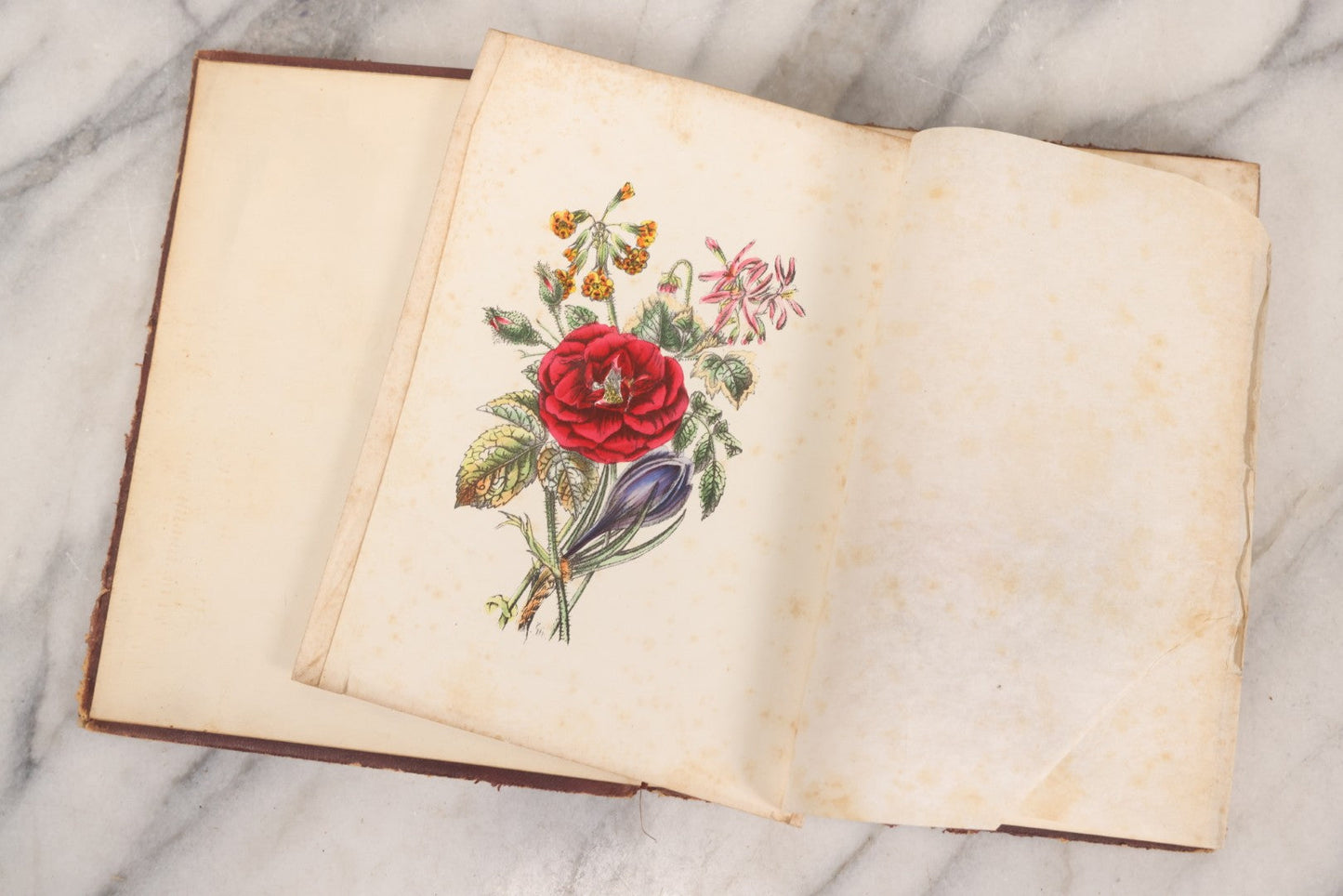 Lot 155 - Antique Autograph Book “Gems From Flora, Illustrated” By J. C. Riker With Dozens Of Entries To Annie Thomas, Including Hand-Colored Flower Lithographs, Circa 1835