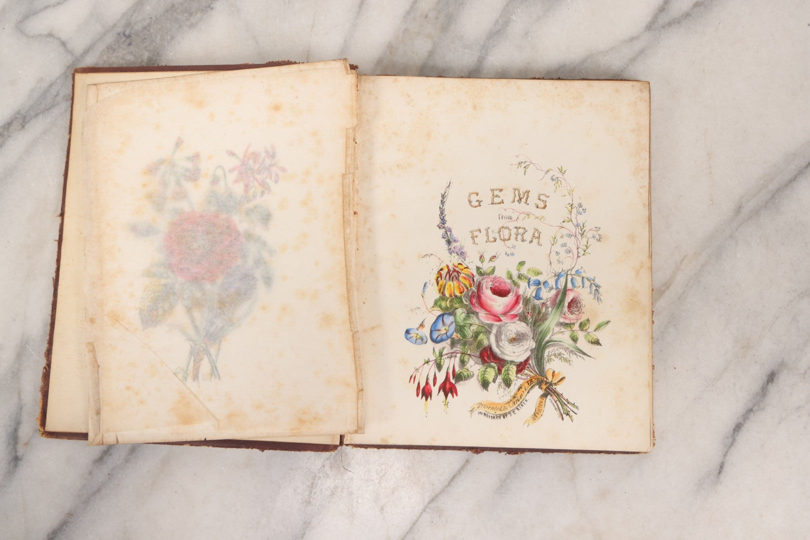 Lot 155 - Antique Autograph Book “Gems From Flora, Illustrated” By J. C. Riker With Dozens Of Entries To Annie Thomas, Including Hand-Colored Flower Lithographs, Circa 1835