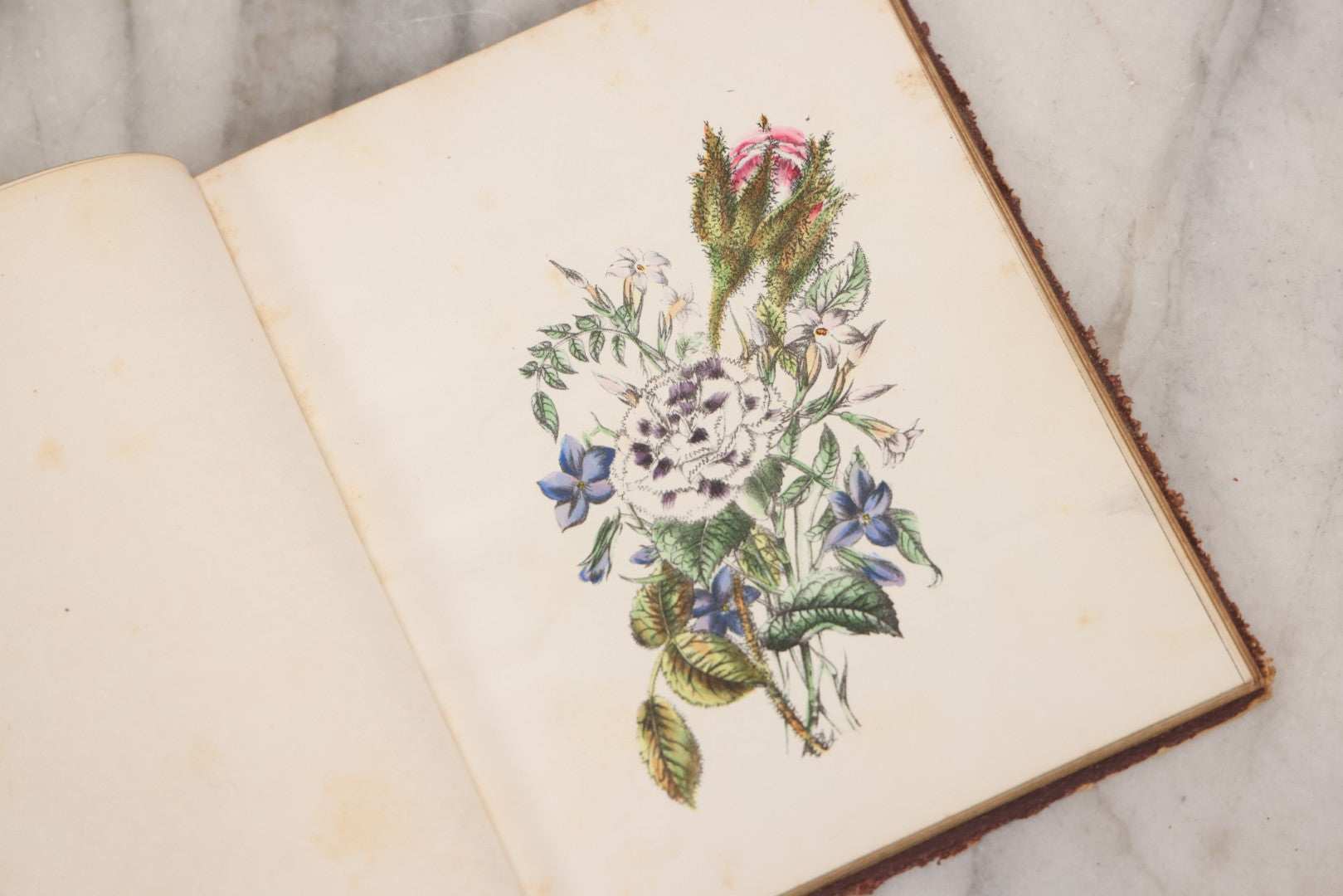 Lot 155 - Antique Autograph Book “Gems From Flora, Illustrated” By J. C. Riker With Dozens Of Entries To Annie Thomas, Including Hand-Colored Flower Lithographs, Circa 1835