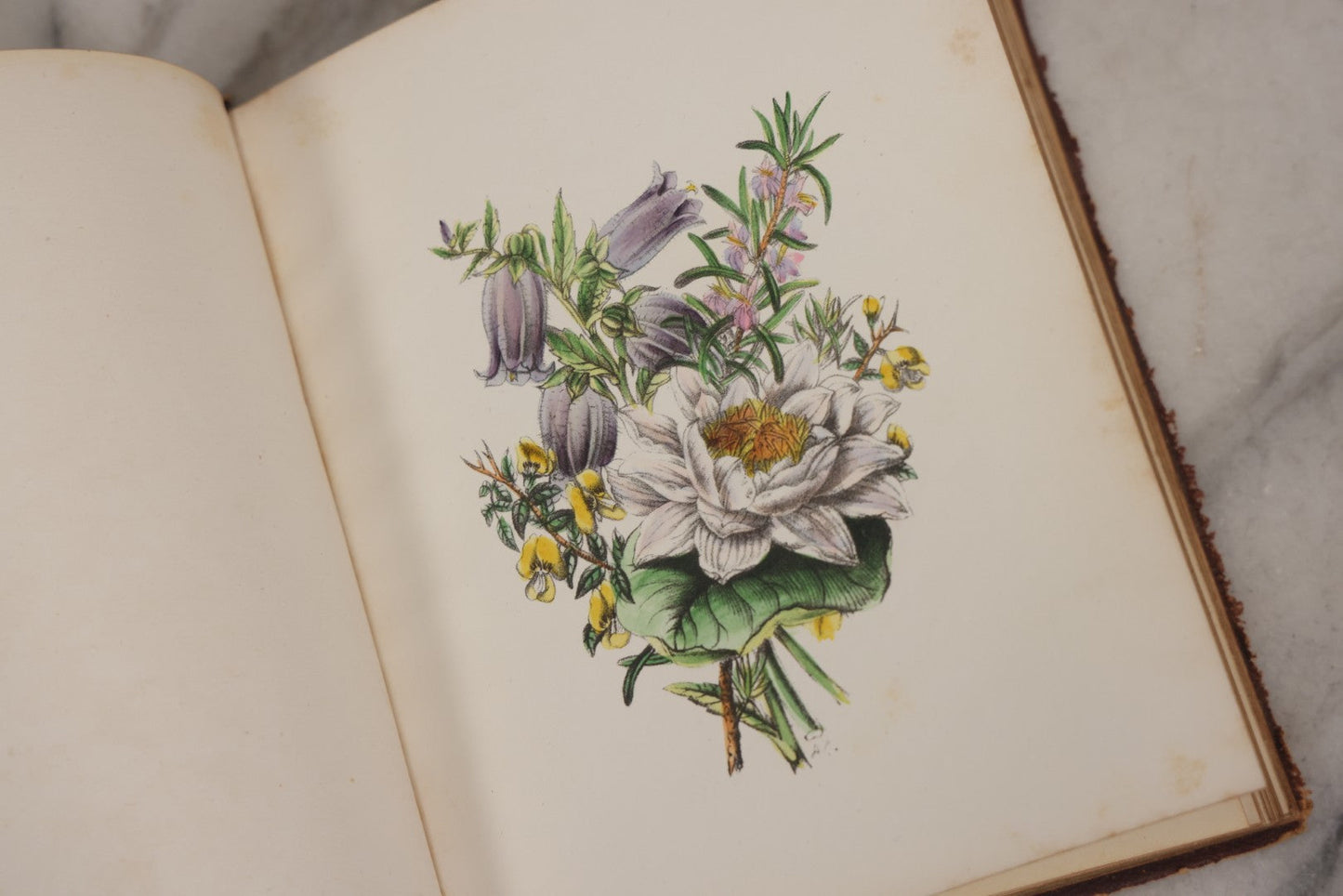 Lot 155 - Antique Autograph Book “Gems From Flora, Illustrated” By J. C. Riker With Dozens Of Entries To Annie Thomas, Including Hand-Colored Flower Lithographs, Circa 1835