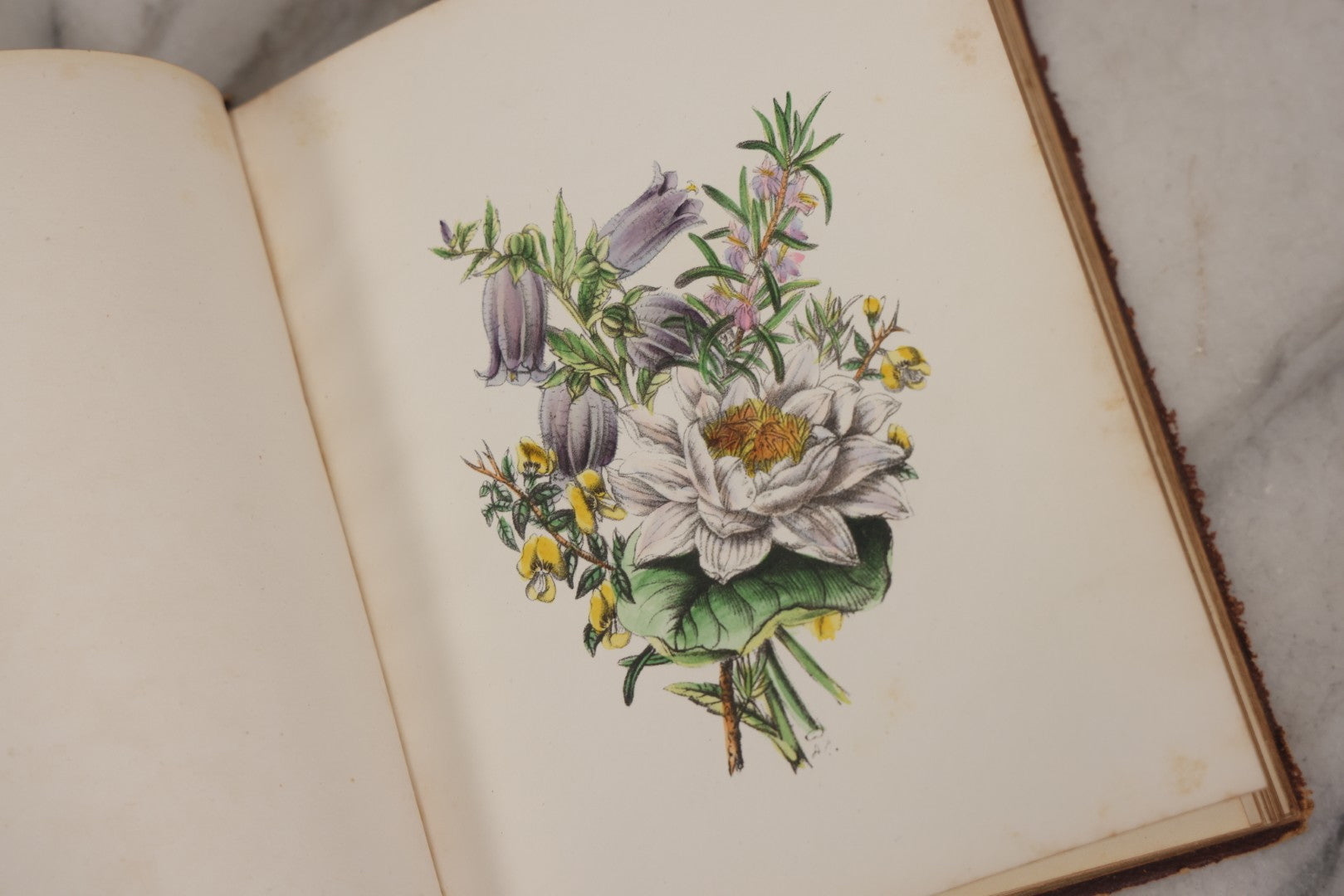 Lot 155 - Antique Autograph Book “Gems From Flora, Illustrated” By J. C. Riker With Dozens Of Entries To Annie Thomas, Including Hand-Colored Flower Lithographs, Circa 1835