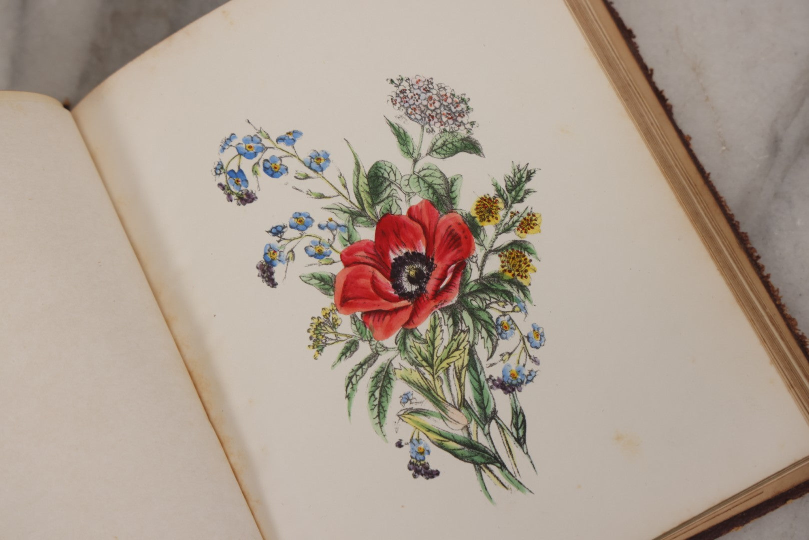 Lot 155 - Antique Autograph Book “Gems From Flora, Illustrated” By J. C. Riker With Dozens Of Entries To Annie Thomas, Including Hand-Colored Flower Lithographs, Circa 1835