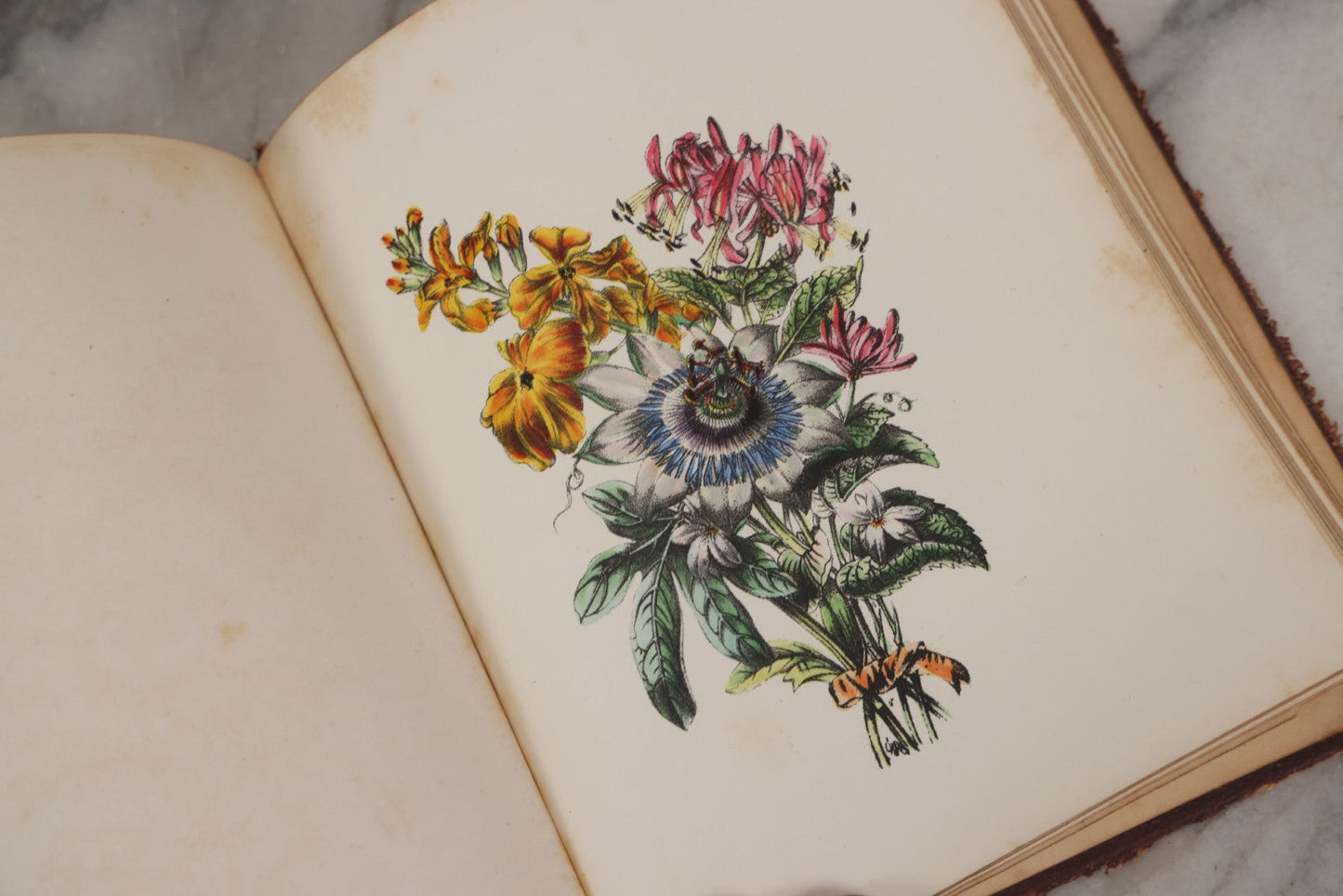 Lot 155 - Antique Autograph Book “Gems From Flora, Illustrated” By J. C. Riker With Dozens Of Entries To Annie Thomas, Including Hand-Colored Flower Lithographs, Circa 1835