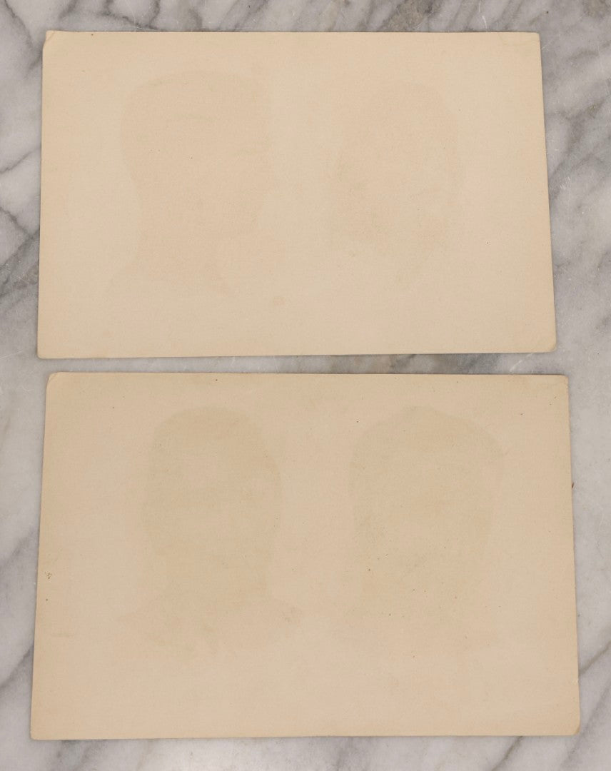 Lot 168 - Pair Of Antique Swedish Color Medical Bookplates By Centraltryckeriet, Stockholm, Depicting Facial Conditions Including Psoriasis, Disfigurement From Syphilis, Shingles, And Lupus Or Skin Tuberculosis