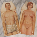 Lot 169 - Pair Of Antique Paper Medical Manikins With Layered Internal Anatomy Of Man And Woman