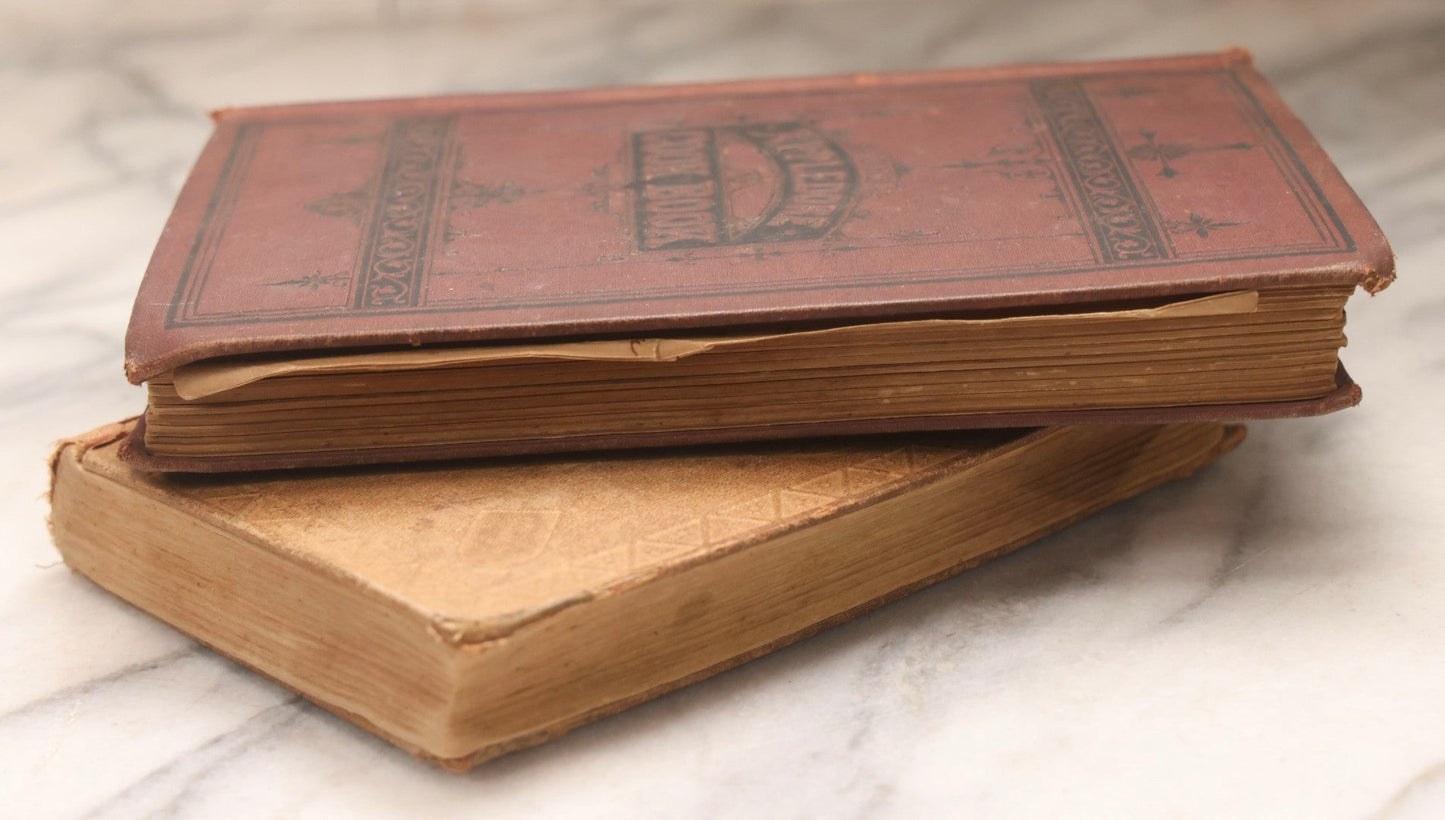 Lot 194 - Pair Of Antique Cookbooks, The Appledore Cook Book, 1883 & Dr. Chase's Recipes; Or, Information For Everybody Circa 1870
