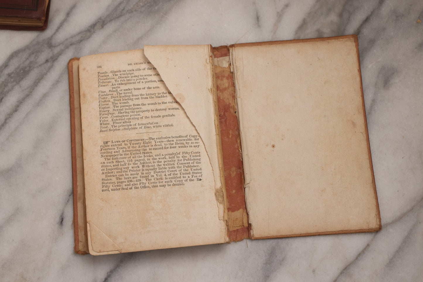 Lot 194 - Pair Of Antique Cookbooks, The Appledore Cook Book, 1883 & Dr. Chase's Recipes; Or, Information For Everybody Circa 1870
