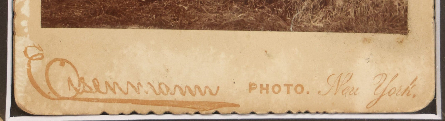 Lot 001 - Antique Cabinet Card Photograph Of Thomas Sidonia “The Tattooed Boy” At Age 21, Photographed By Charles Eisenmann, New York, Custom Framed With Visible Verso Inscription And Clear View Of Early American Traditional Tattoos, 13" x 15"